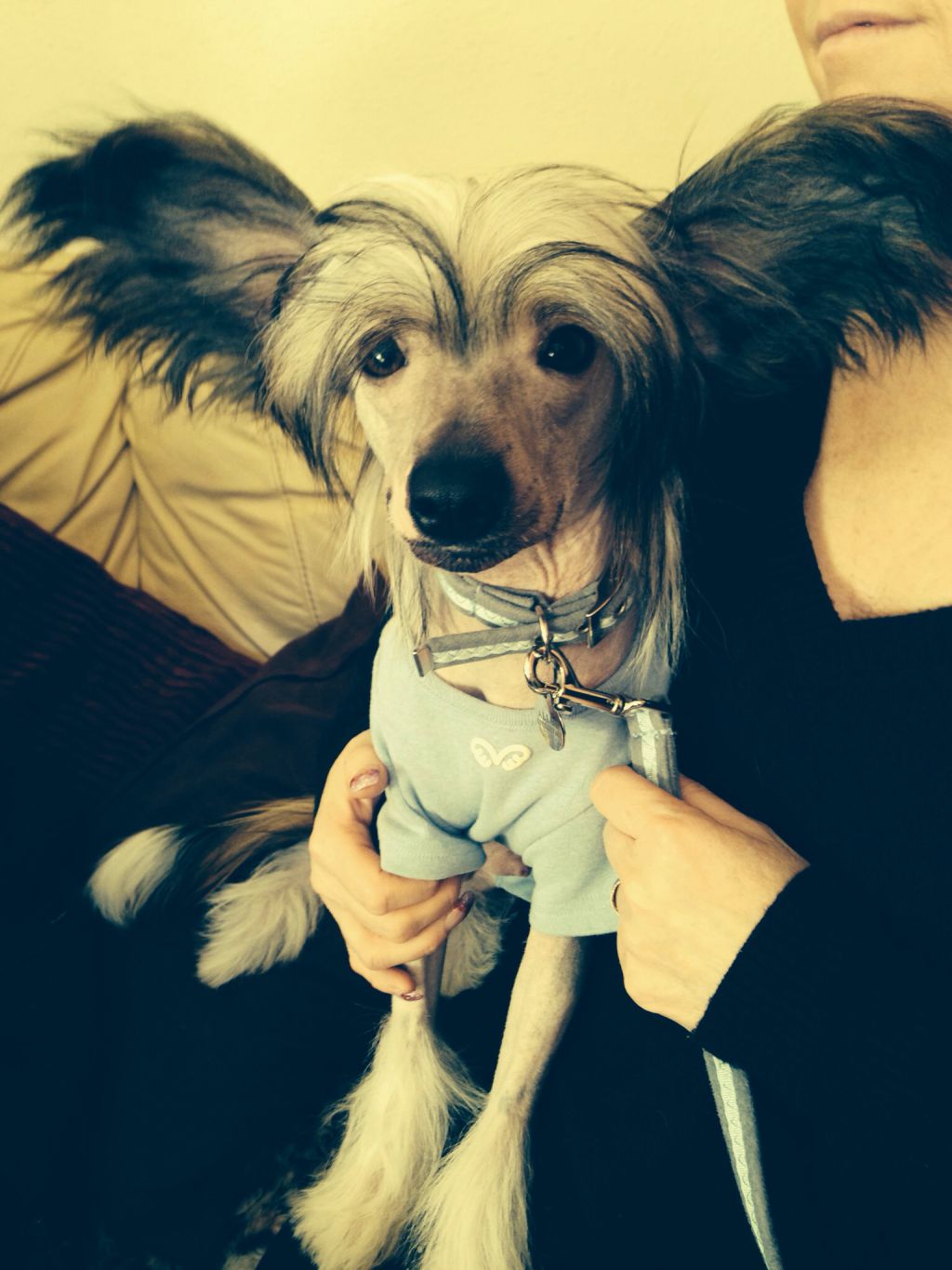 Konishiki James Dean