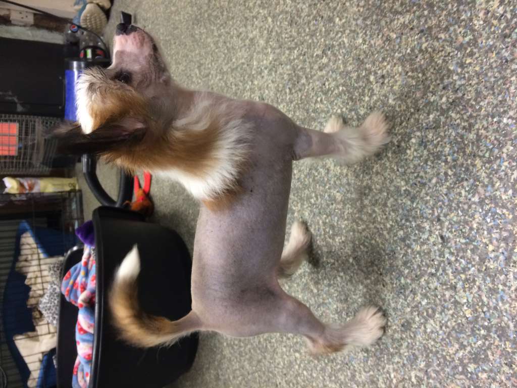 Doucai's Double Take at Myglee