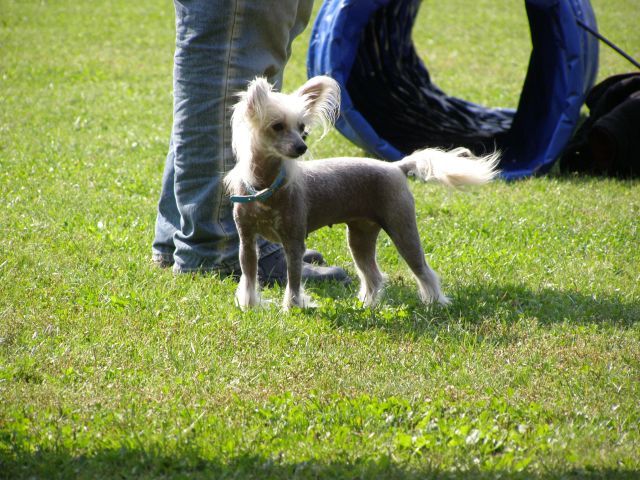 Erand Alice In Wonderland