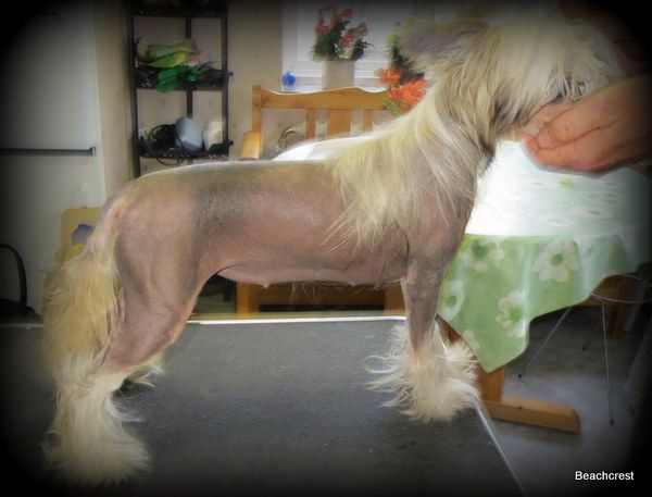 Beachcrest For Your Eyes Only