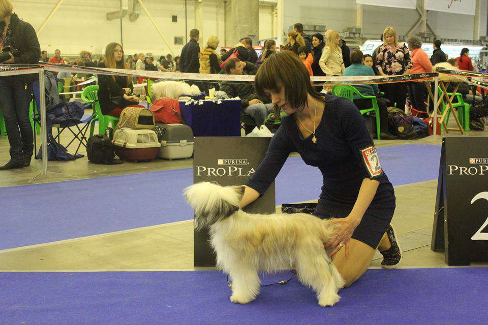 Legion Of Dream Iluryan Phraotes