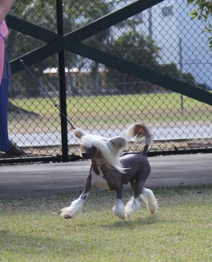 Vanitonia Too Hot To Handle