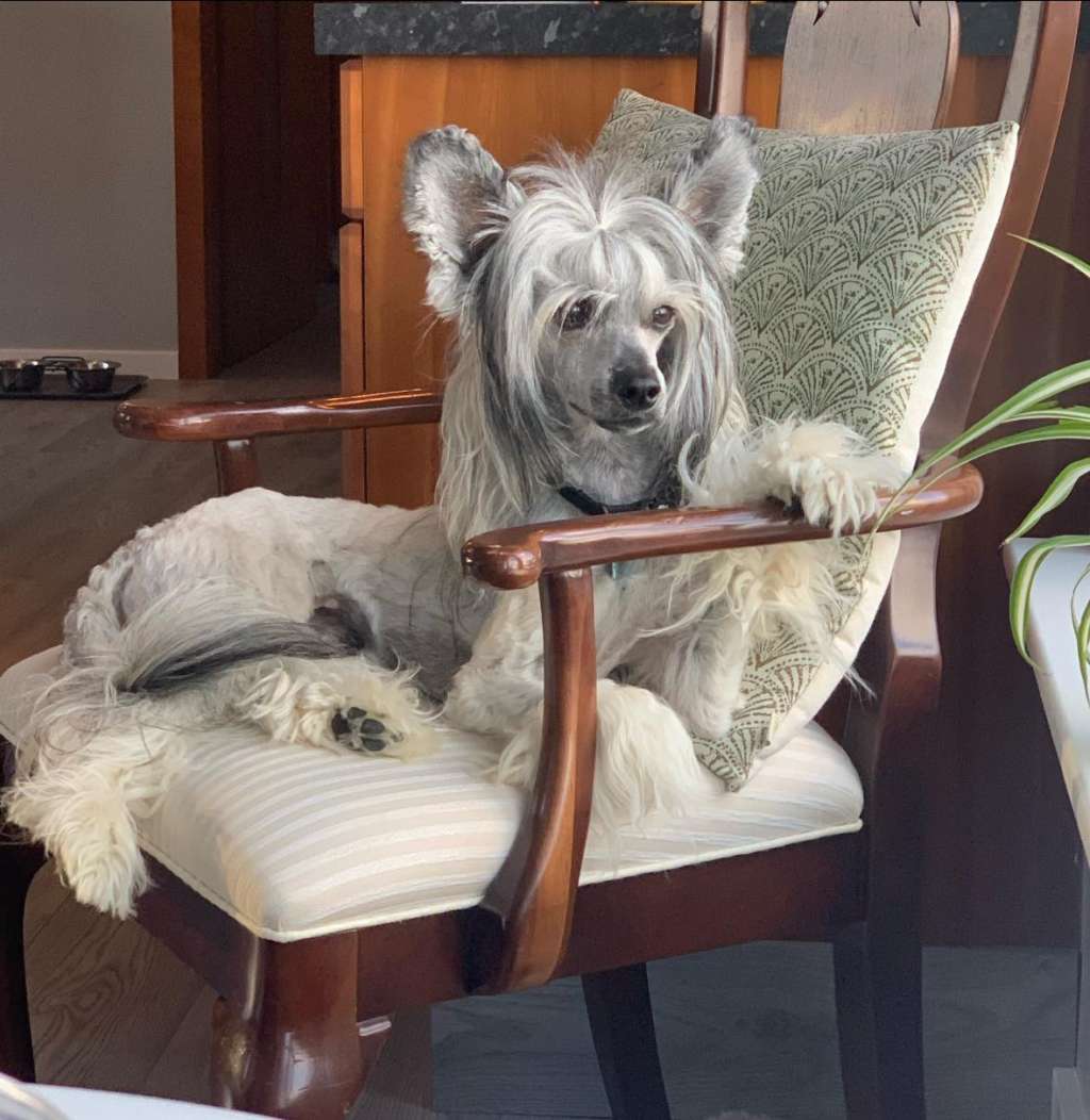 Practical Hero Zero To A Hero