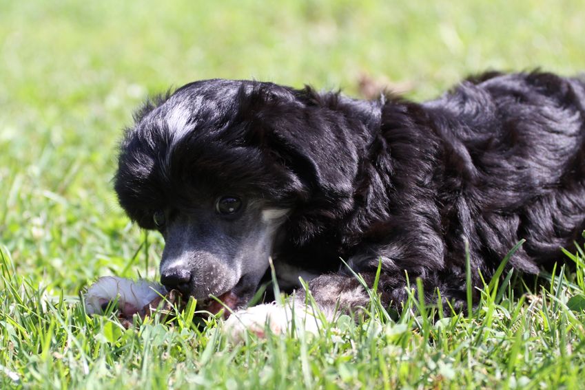 Everything counts Quickly in Love