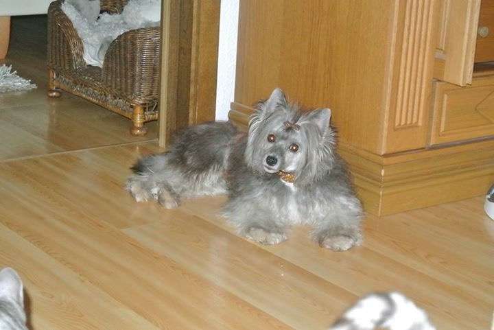 Felici Amici Calypso