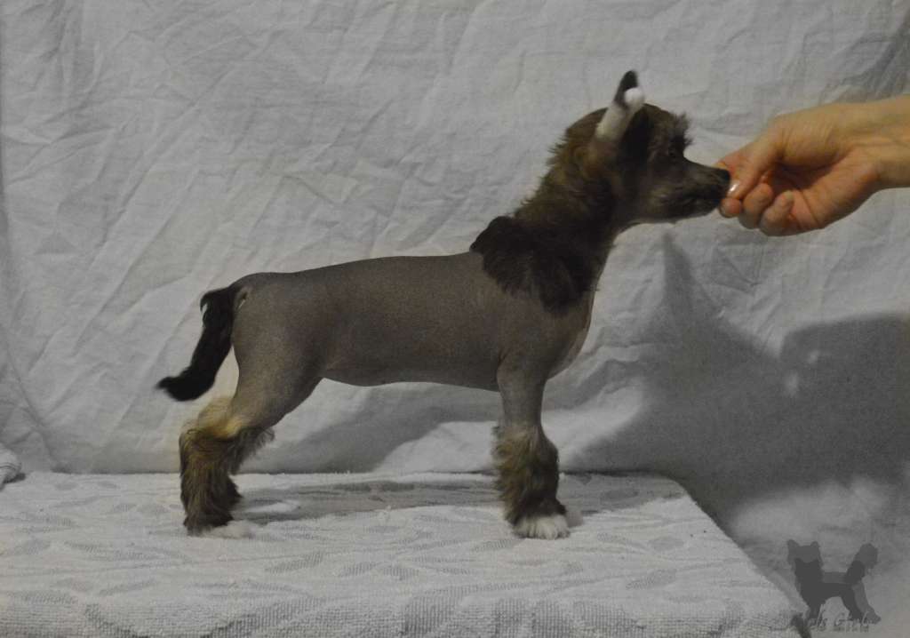 Girls Girls Bottega Bobbles