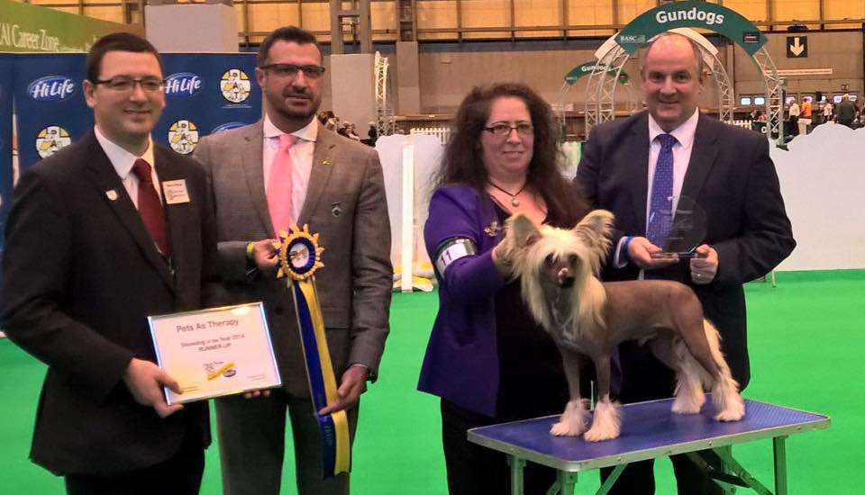 Ch Mongoshi Gate Crasher Shcm