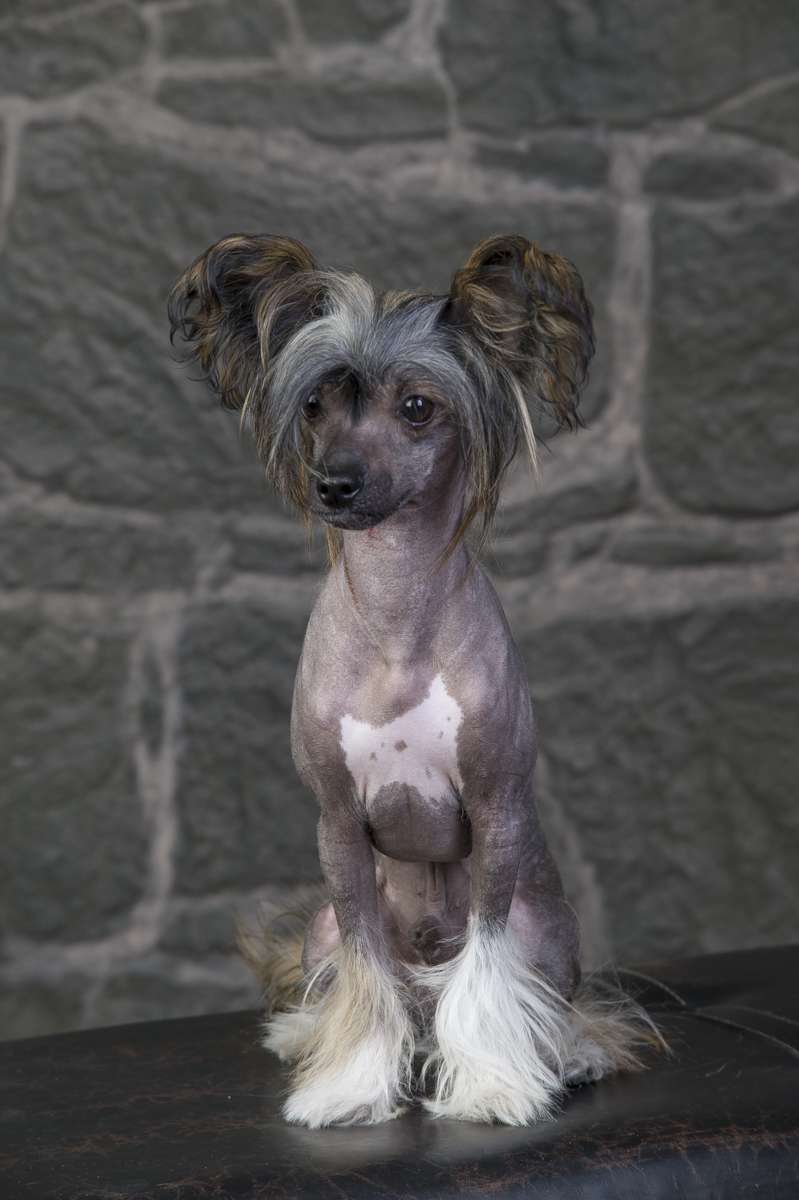 Girls Girls Action Man