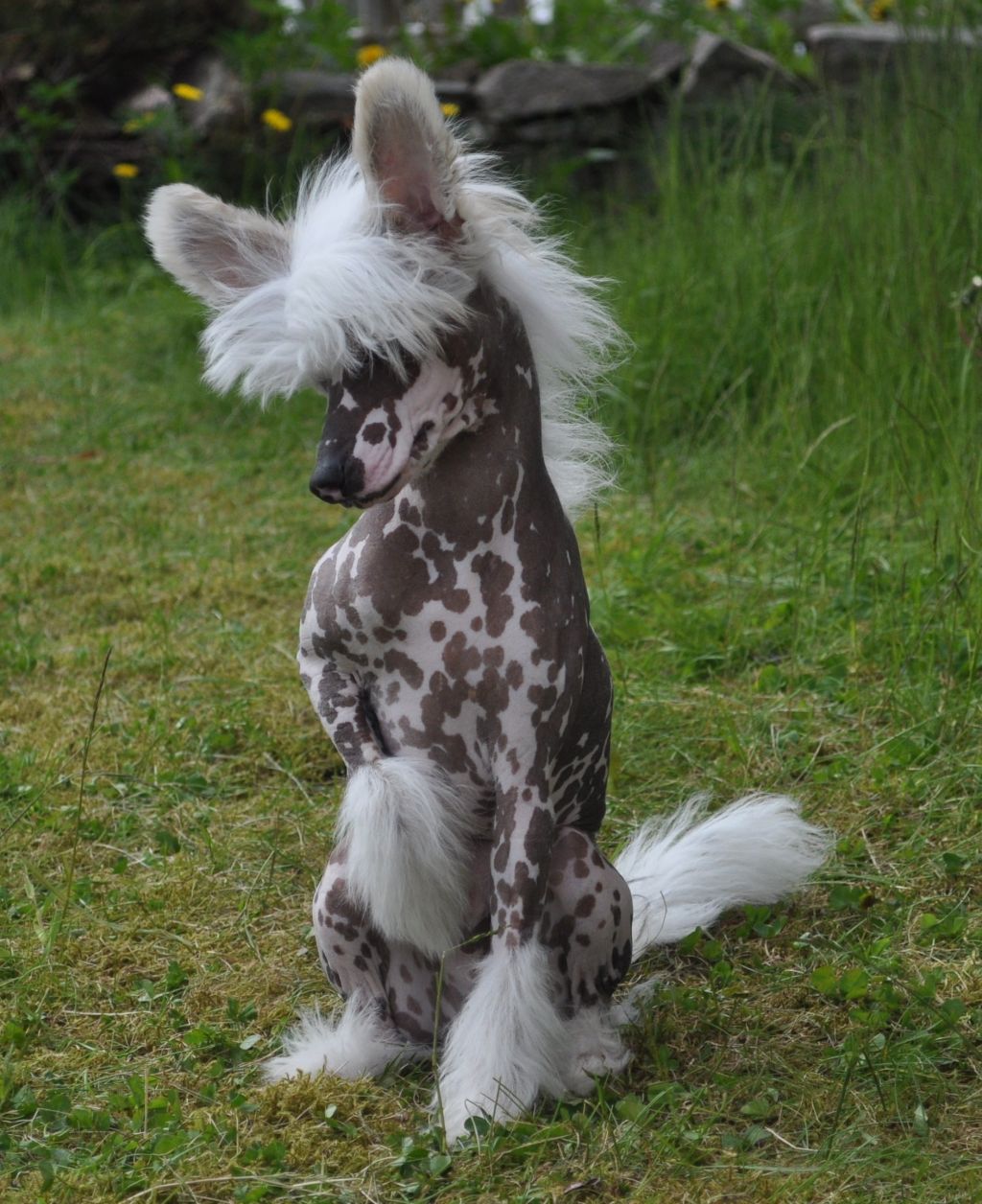 Reject's Fourteen Holy St Agatius