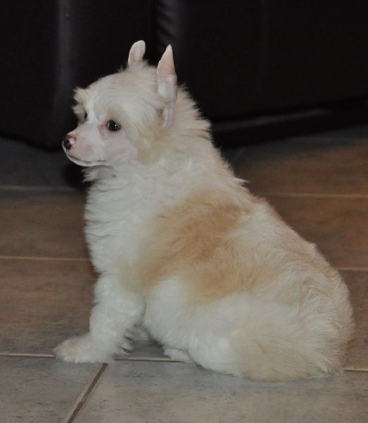 Ithaque Little Champs