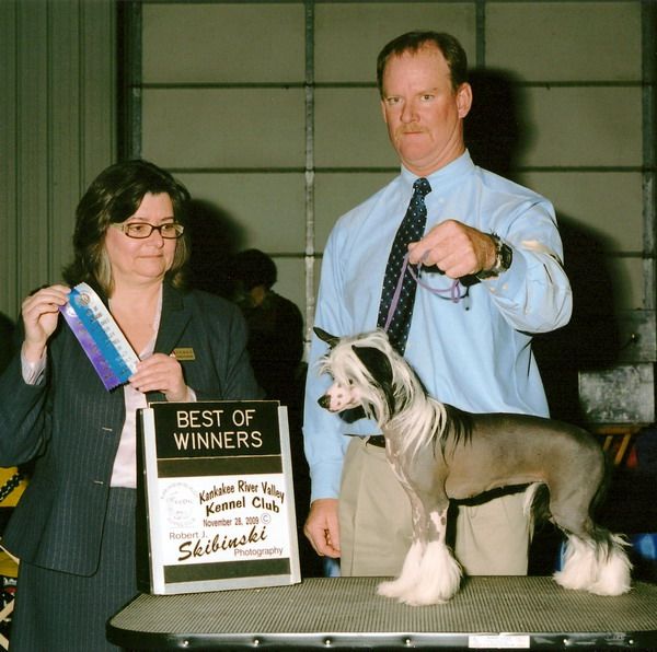 Daretobebare Drama Queen