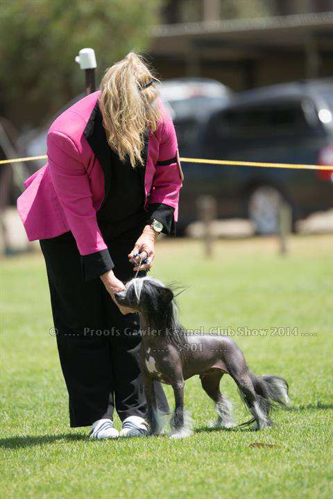 Glanore Lightening Strike