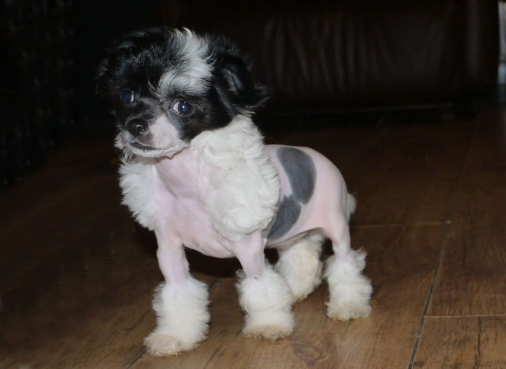 Just in Time Little Charmings.