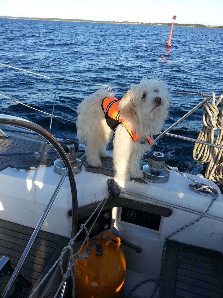 Crazy Little Diamond Leo