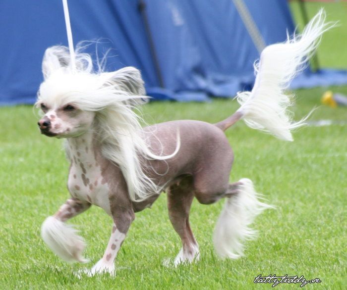 Way More Astonishing Than You