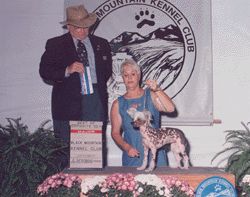 Lze-wins Dream Catcher