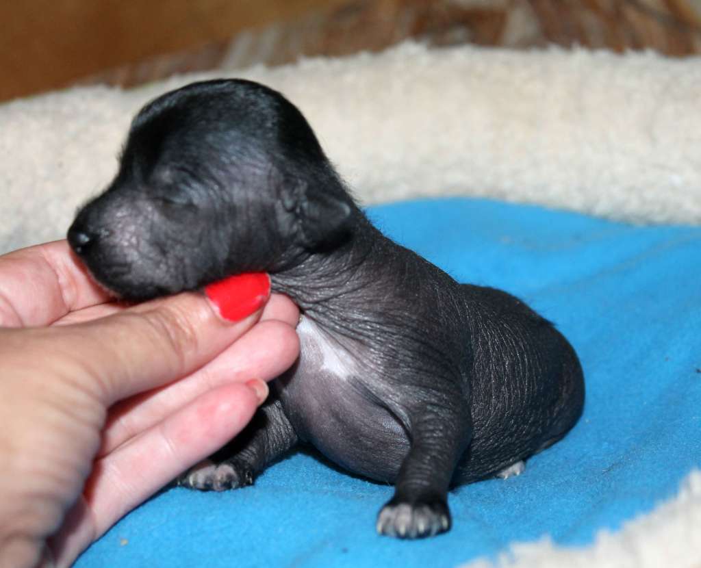 Selina Molosos Gratzi