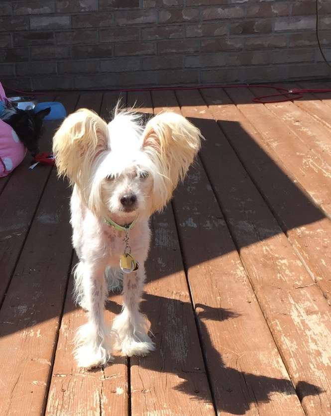 Gardine Here In The Moment