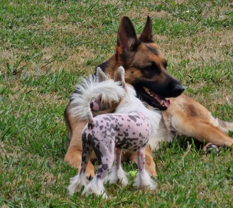 Magnus Staff Mamma Mia