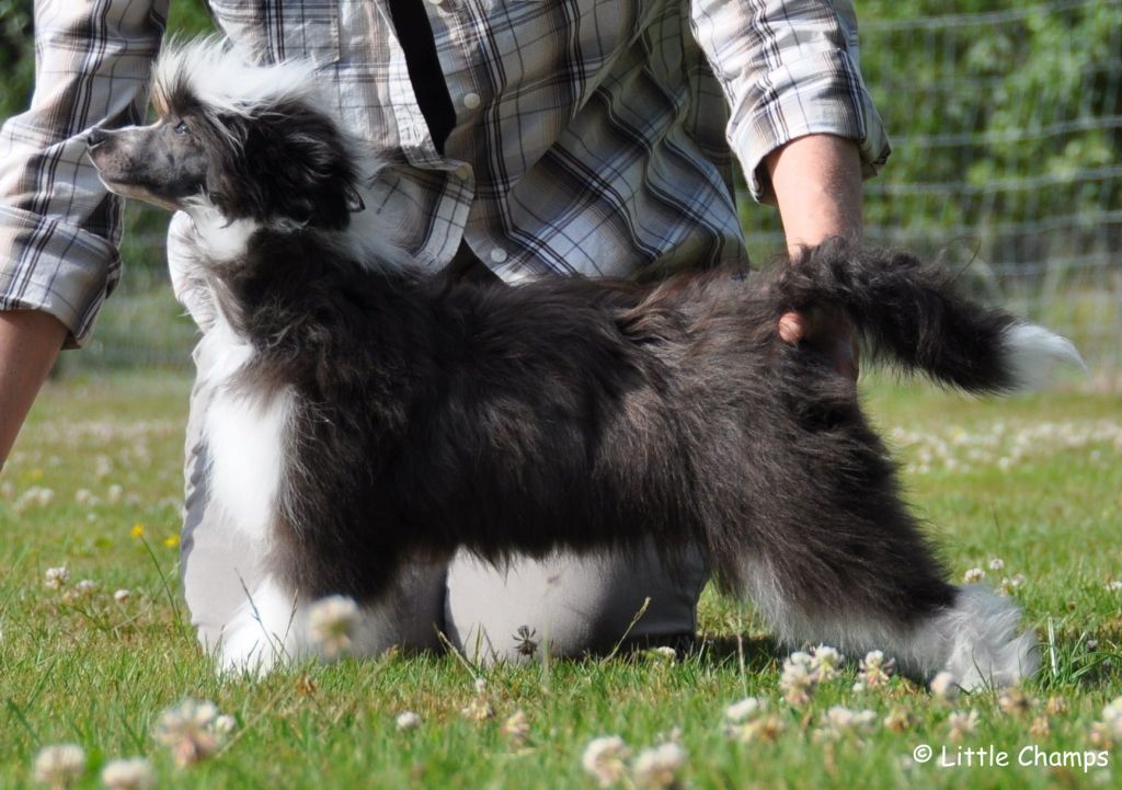 I kiss you Little Champs