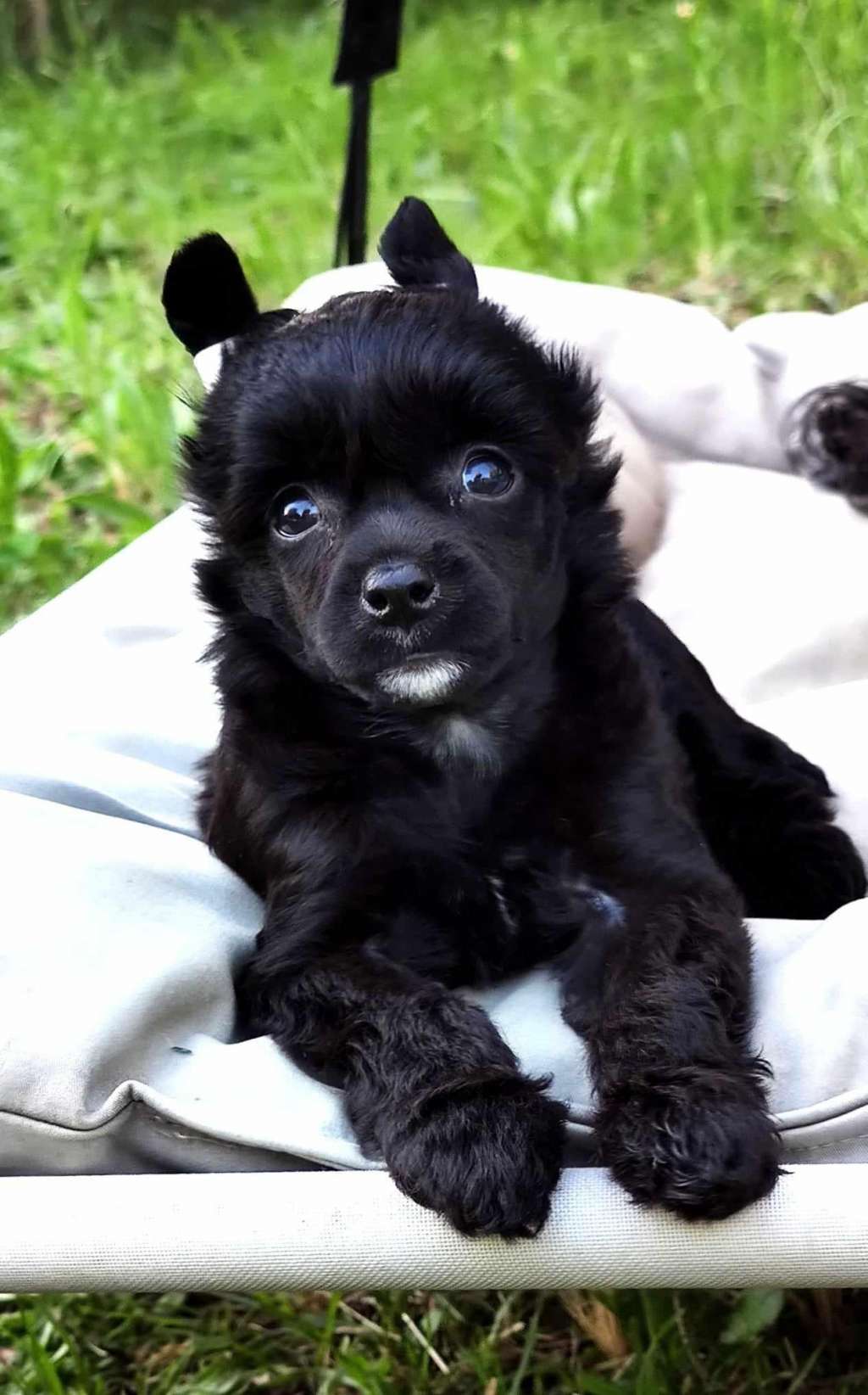 Charisma Thea Pompinell