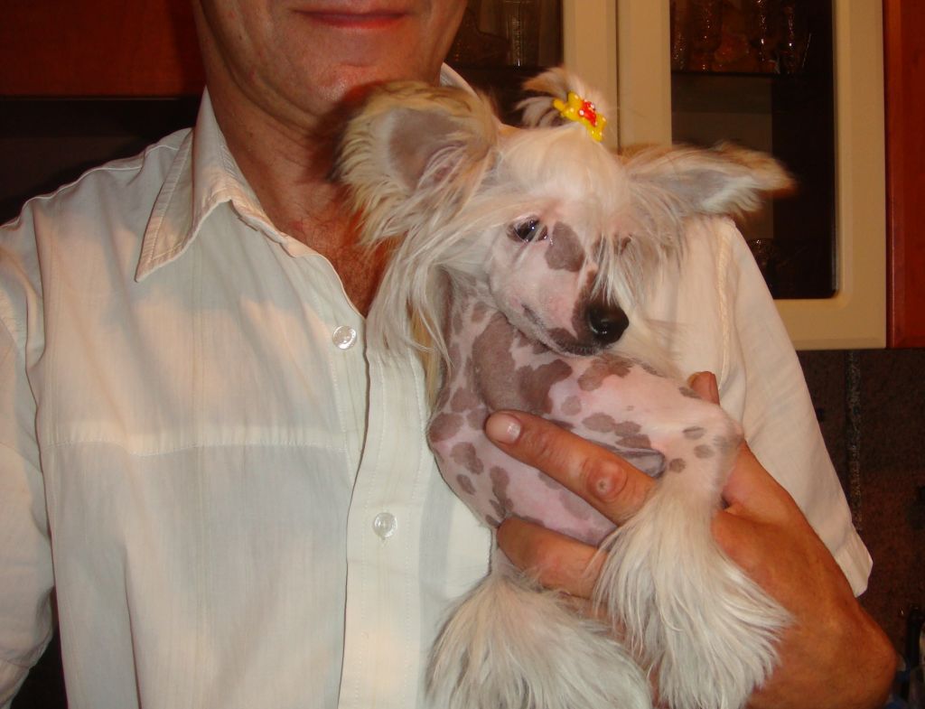 Alvine Band Vasilisa Beautiful