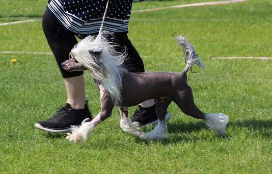 Joyway's To Infinity And Beyond