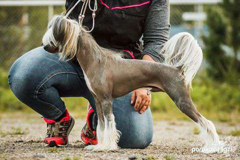 Sofiris Show Graham's Vintage Port