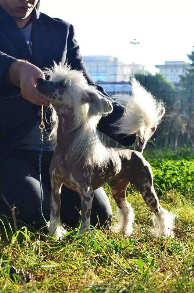 Just Imagine That N'Co