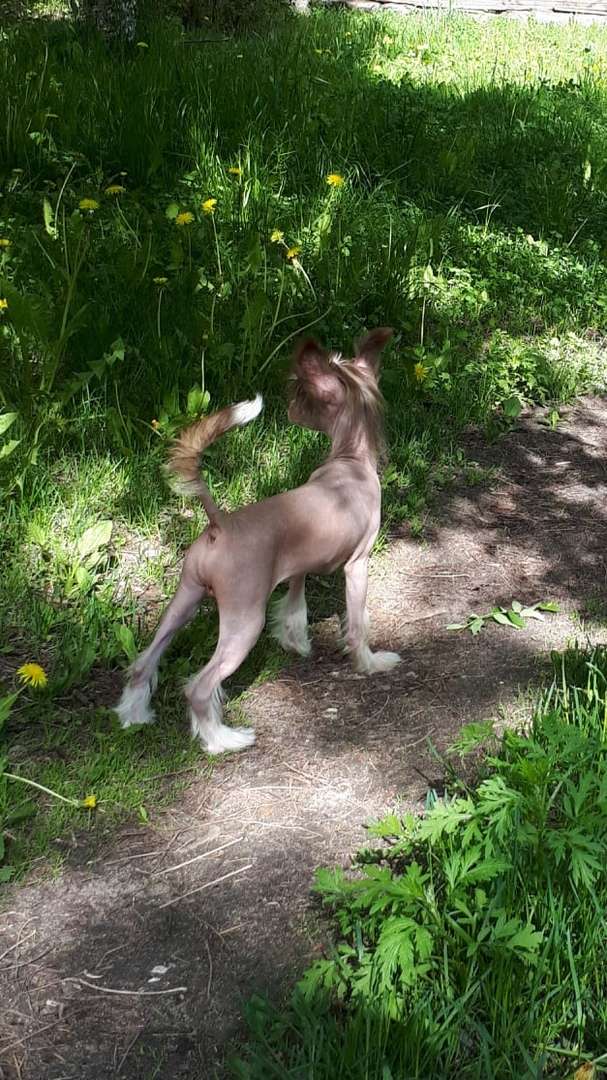 My Lucky Charm Energizer