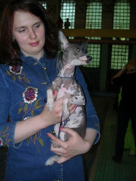 Zvezdnaya Rapsodia s Tushinskogo Doma