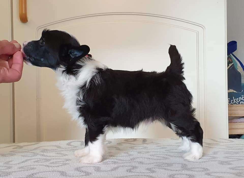 Viuvaun Go With The Flow