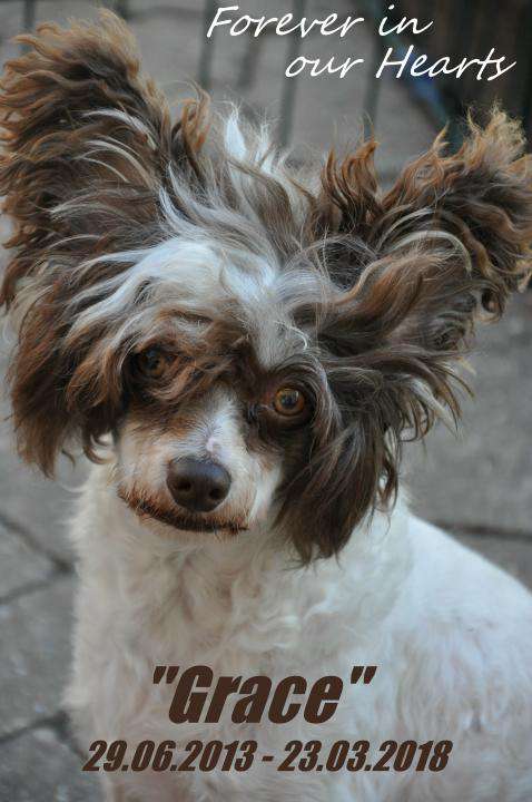 Grace Kelly House Fortuna