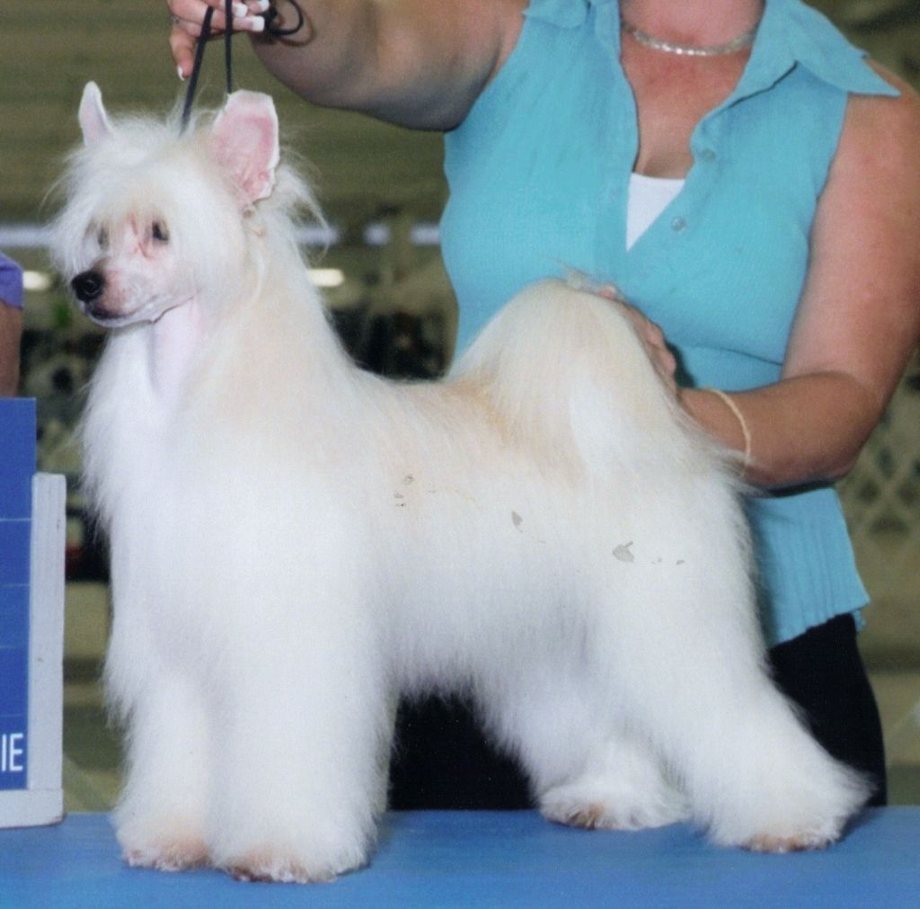 Kalan-Earlylite Tainted Love