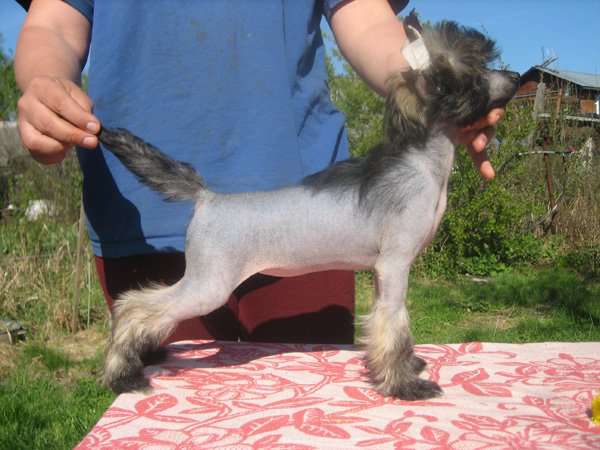 Aura Beauty Night Glow