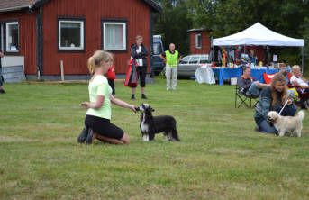 Miakoda's Black Fairytale