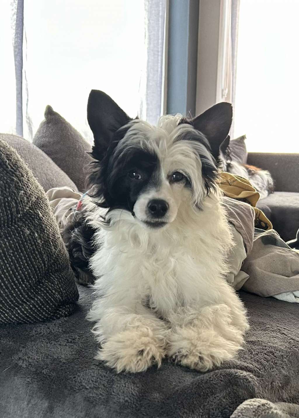 Zero Tolerance Xpect The Unxpected