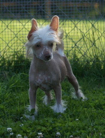 One In A Million Fantasy Island