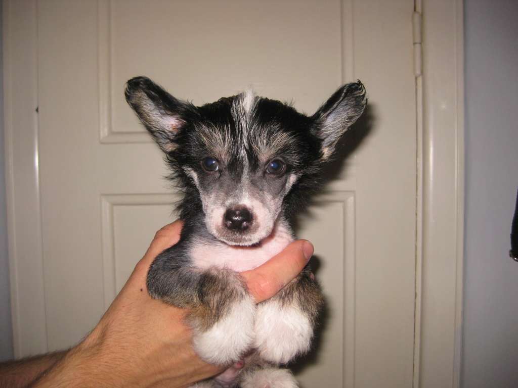 Desireme Every Breath You Take