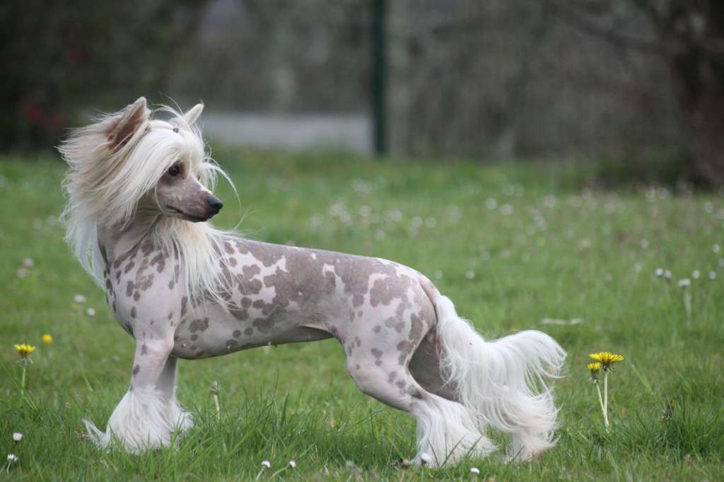 moon harbour ice lolly