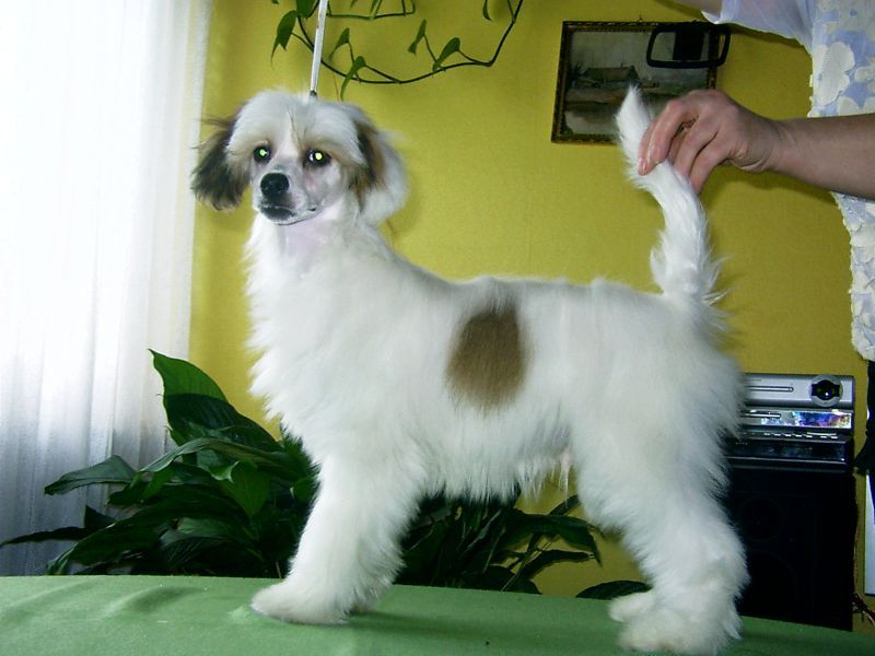 Wagarowicz  z Gangu Lysych