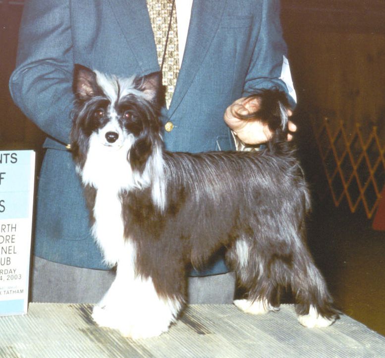 Mstical Ke-don Lone Ranger