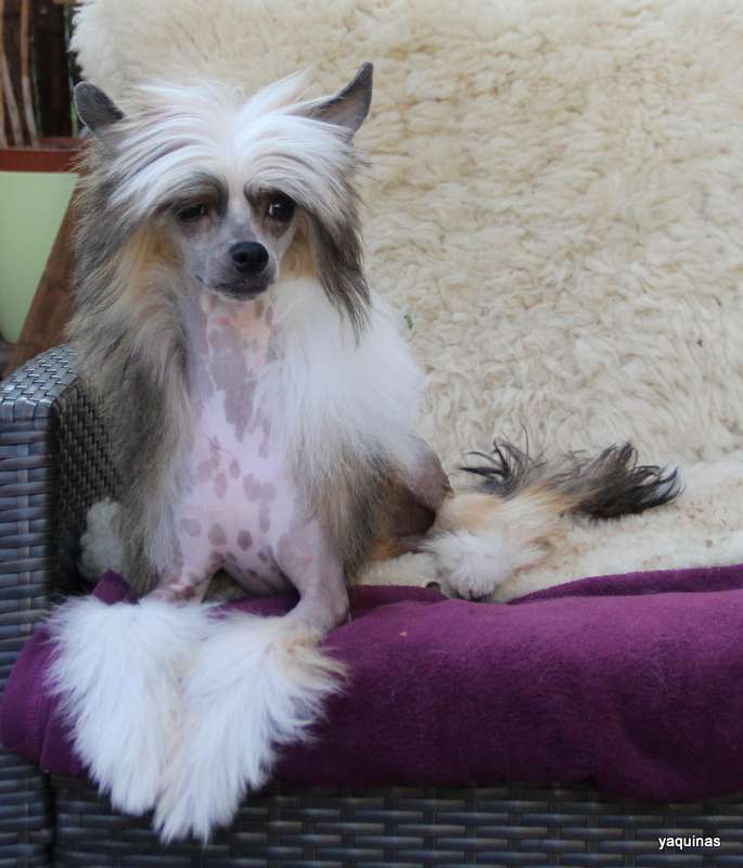 Yaquina's Explosion in my Heart