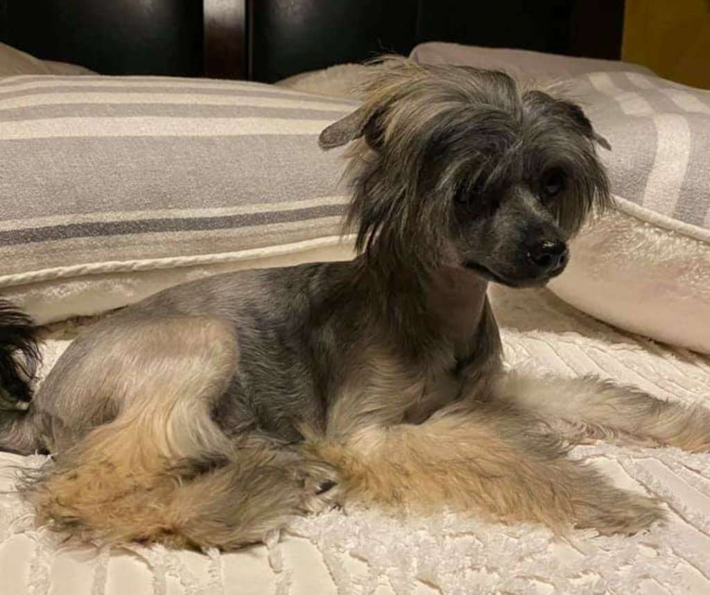 Long Haul's Luna Eclipse