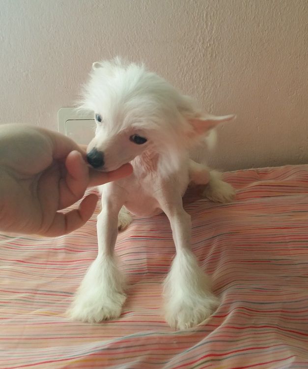 Blood-Divine de L'Essence de Mon Tout