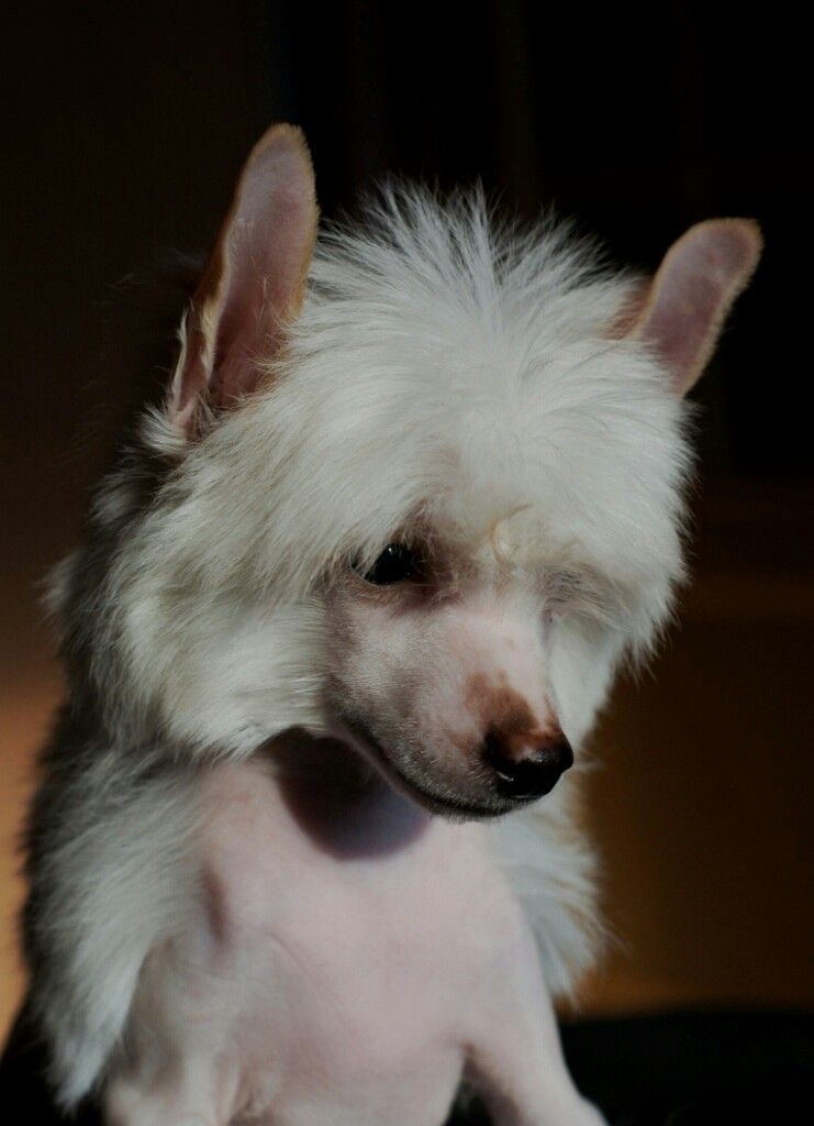 Enjoy Luxury iz Diamond Sity