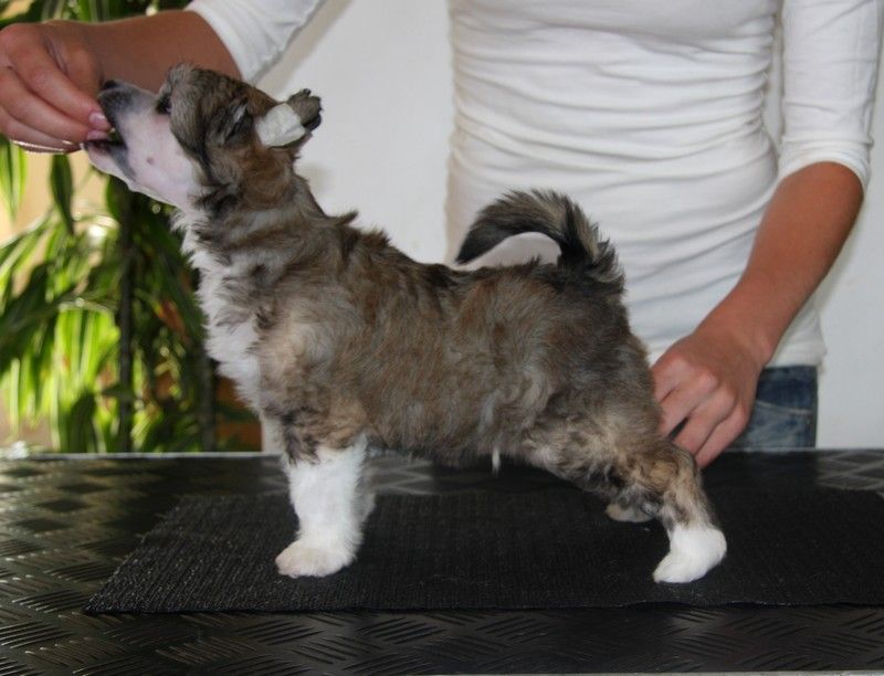 Fluffysteps Come'n Go With The Flow