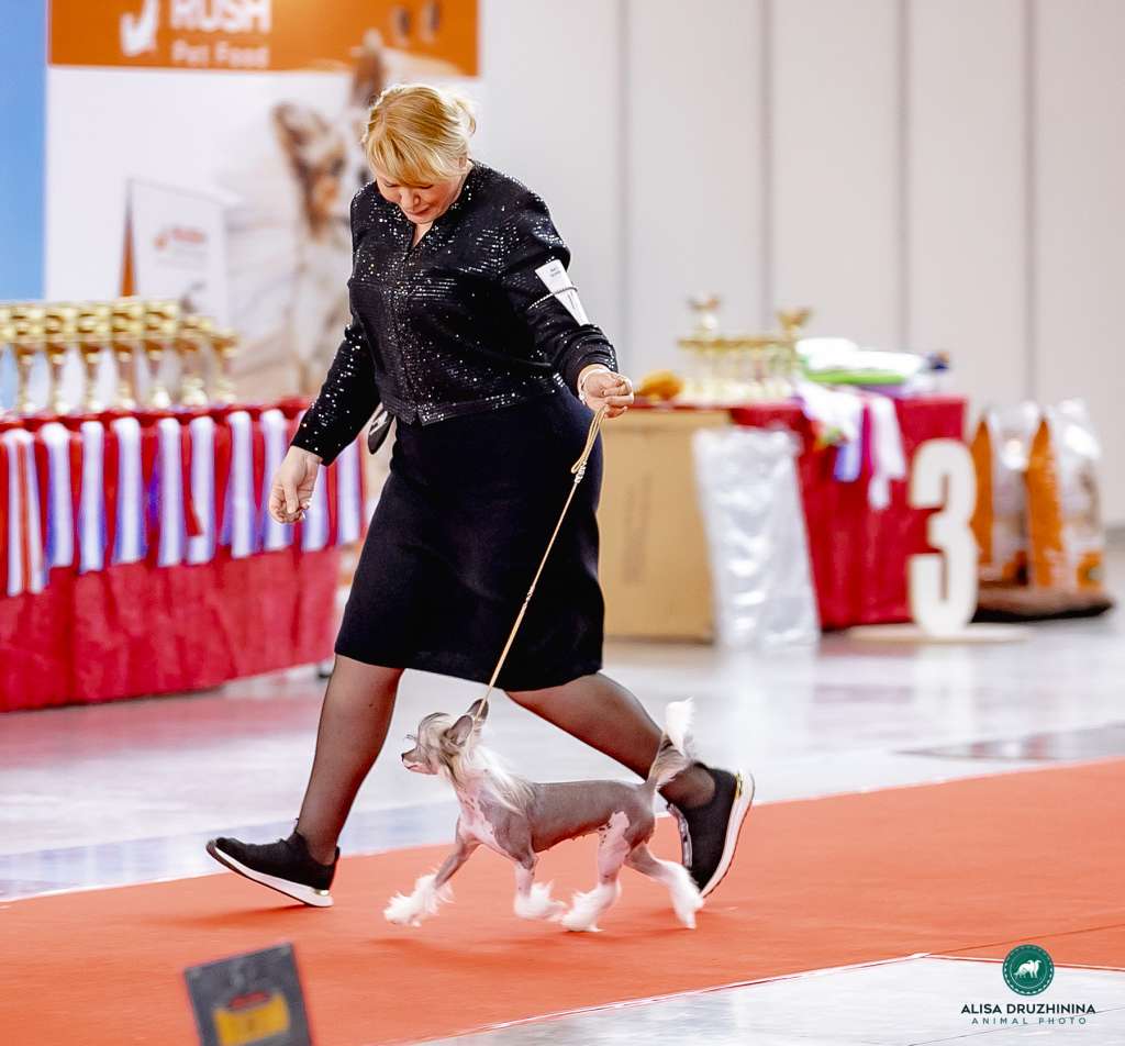 Incanto Del Mondo Tesla Model X