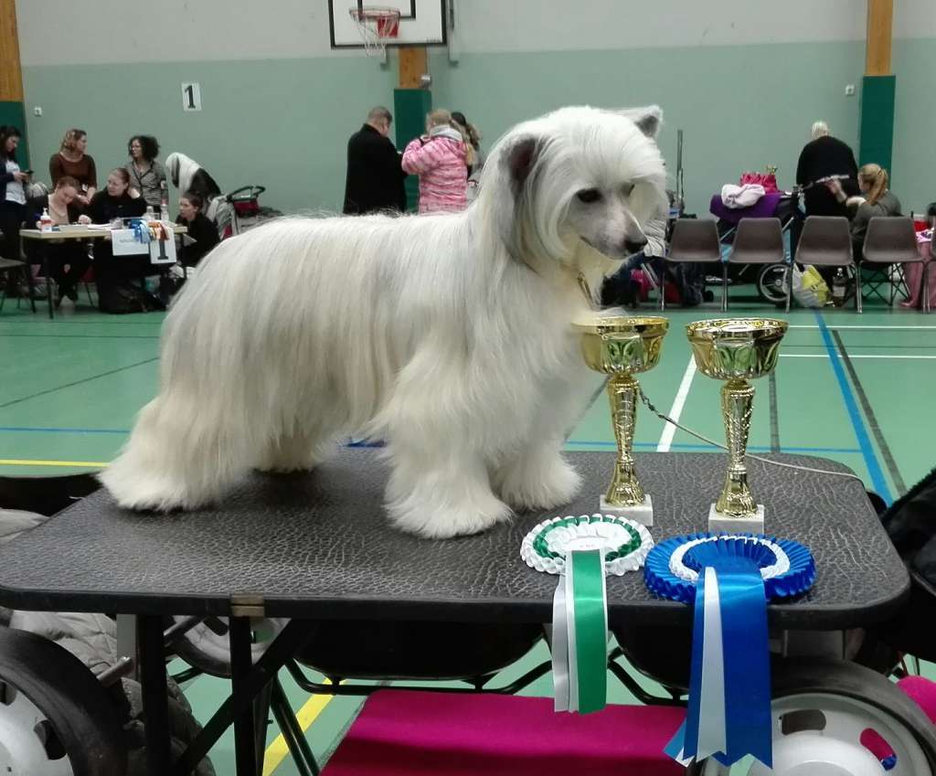 Maybell's Alpha Omega