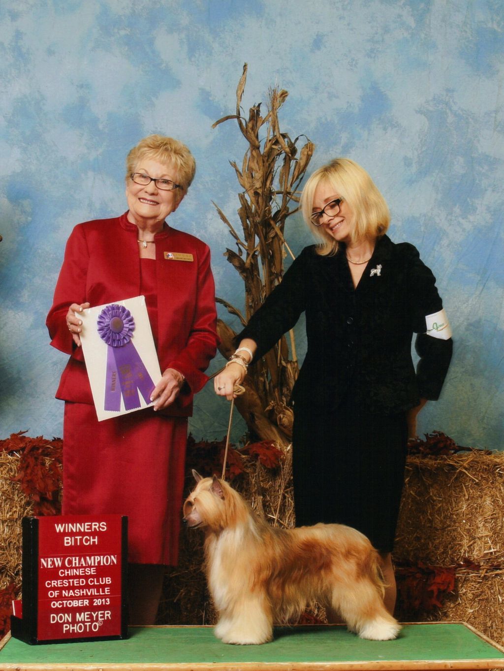 Ch Woodcrest Blonde Ambition At A'Eden